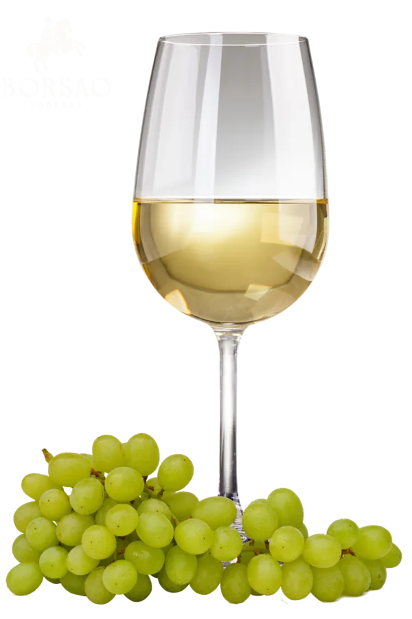 Borsao Bodegas Borsao Macabeo